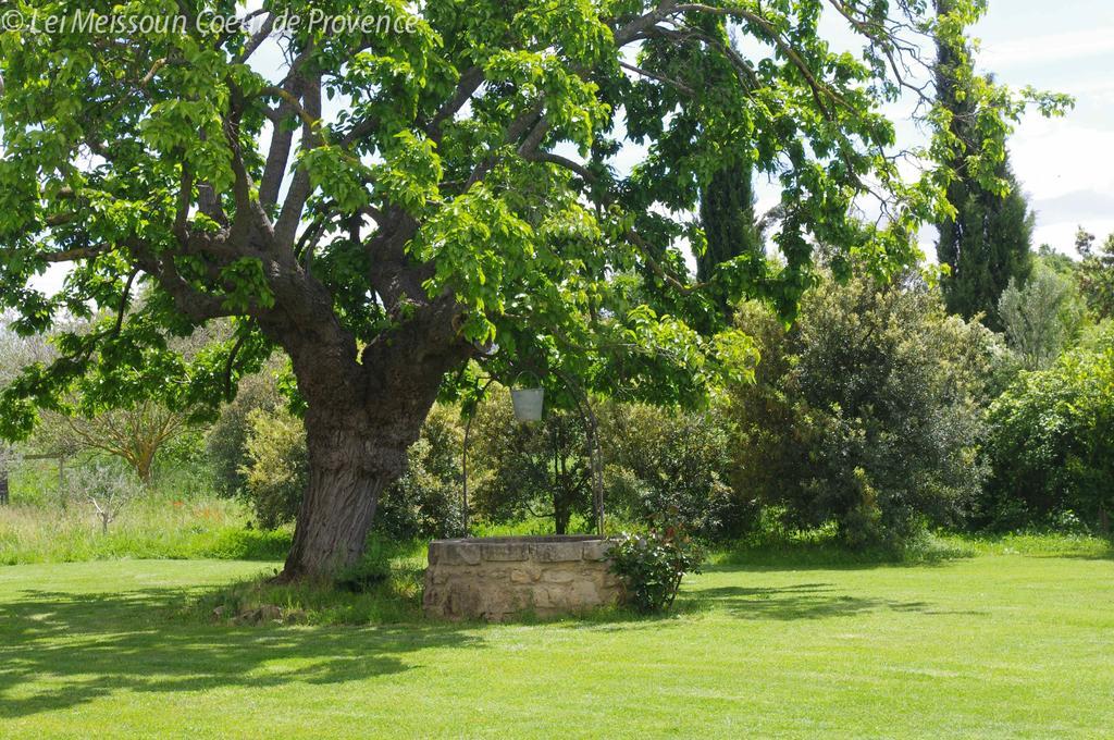 מאלמור Lei Meissoun מראה חיצוני תמונה